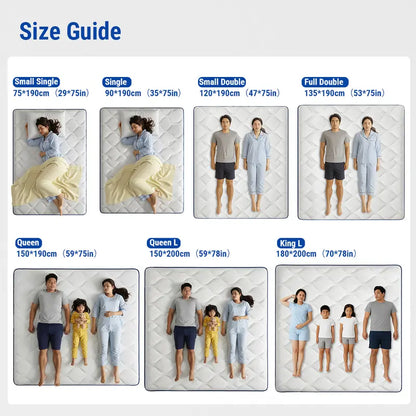 Premium Double Spring Mattress